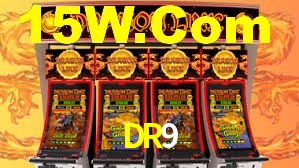 DR9 App Interface